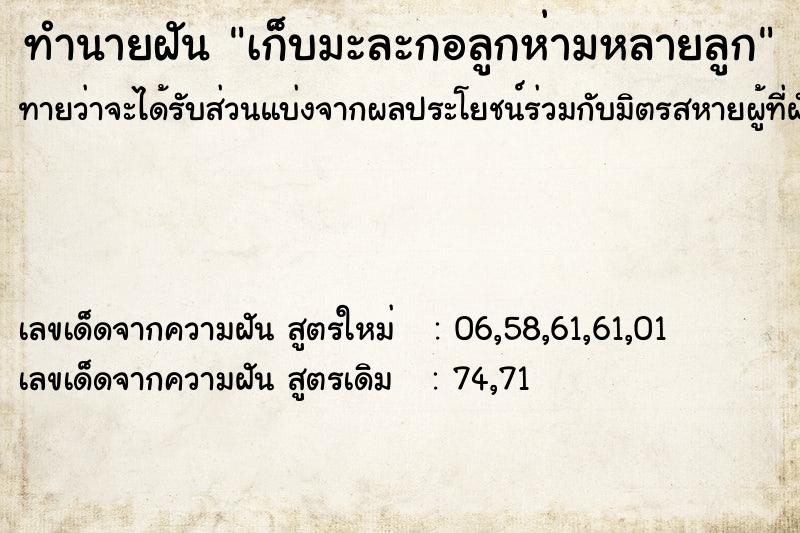 ทำนายฝัน เก็บมะละกอลูกห่ามหลายลูก ทำนายฝัน เก็บมะละกอลูกห่ามหลายลูก