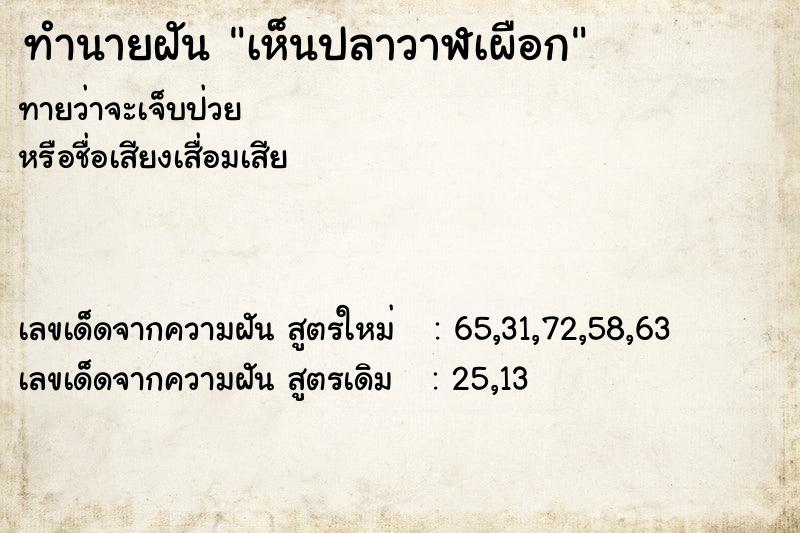 ทำนายฝันทำนายฝันเห็นปลาวาฬเผือก