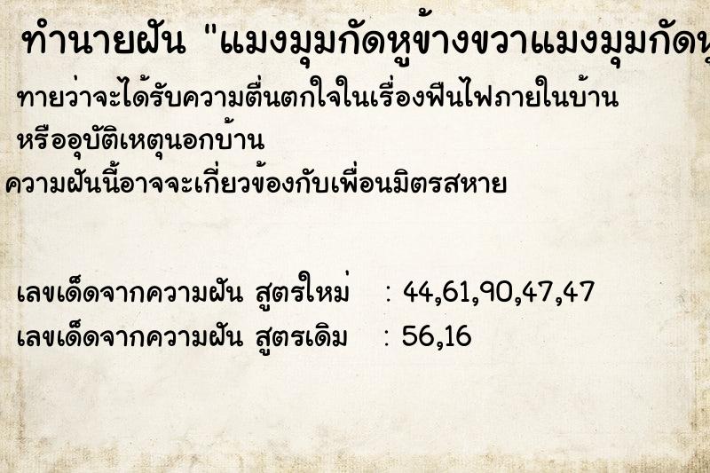 ทำนายฝันทำนายฝันแมงมุมกัดหูข้างขวาแมงมุมกัดหูข้างขวา