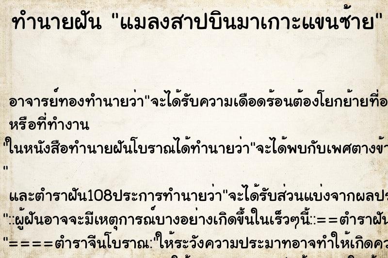 ทำนายฝัน แมลงสาปบินมาเกาะแขนซ้าย