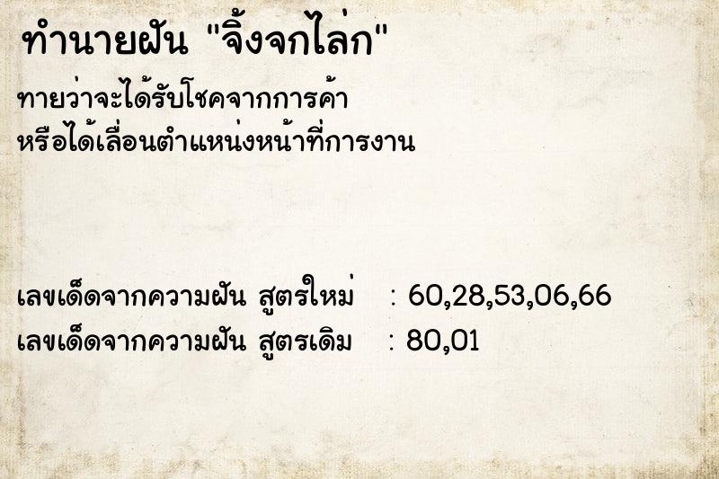 ทำนายฝันจิ้งจกไล่ก ทำนายฝันทำนายฝันจิ้งจกไล่ก