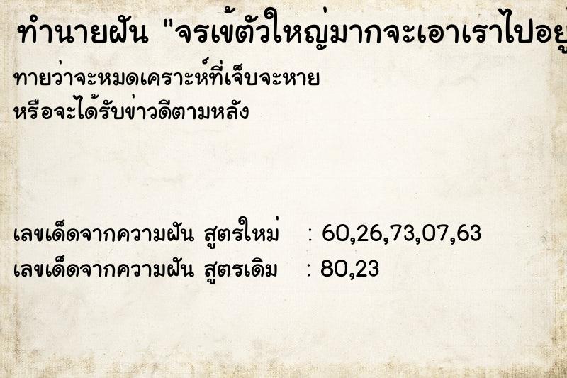ทำนายฝันจรเข้ตัวใหญ่มากจะเอาเราไปอยู่ด้วย ทำนายฝันทำนายฝันจรเข้ตัวใหญ่มากจะเอาเราไปอยู่ด้วย