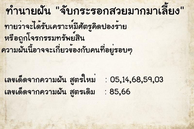 ทำนายฝันทำนายฝันจับกระรอกสวยมากมาเลี้ยง