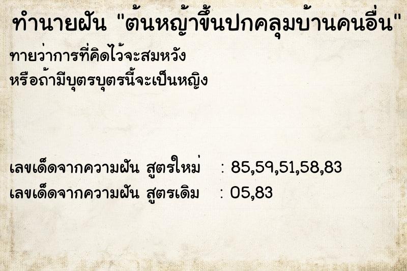 ทำนายฝันต้นหญ้าขึ้นปกคลุมบ้านคนอื่น ทำนายฝันทำนายฝันต้นหญ้าขึ้นปกคลุมบ้านคนอื่น