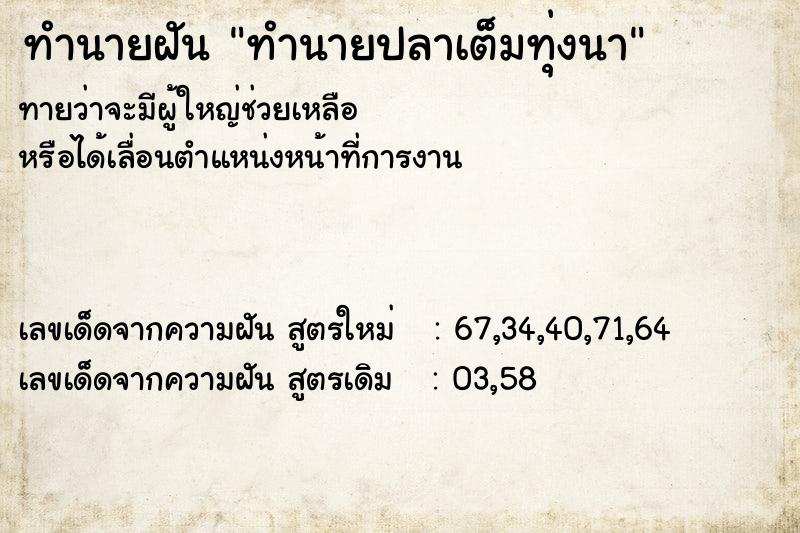 ทำนายฝันทำนายปลาเต็มทุ่งนา ทำนายฝันทำนายฝันทำนายปลาเต็มทุ่งนา