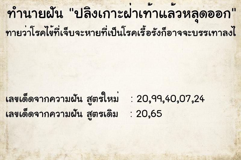 ทำนายฝันปลิงเกาะฝ่าเท้าแล้วหลุดออก ทำนายฝันทำนายฝันปลิงเกาะฝ่าเท้าแล้วหลุดออก