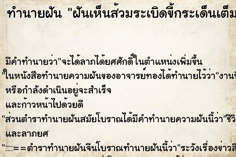 ทำนายฝันฝันเห็นส้วมระเบิดขี้กระเด็นเต็มพื้นเต็มตัว ทำนายฝันทำนายฝันฝันเห็นส้วมระเบิดขี้กระเด็นเต็มพื้นเต็มตัว
