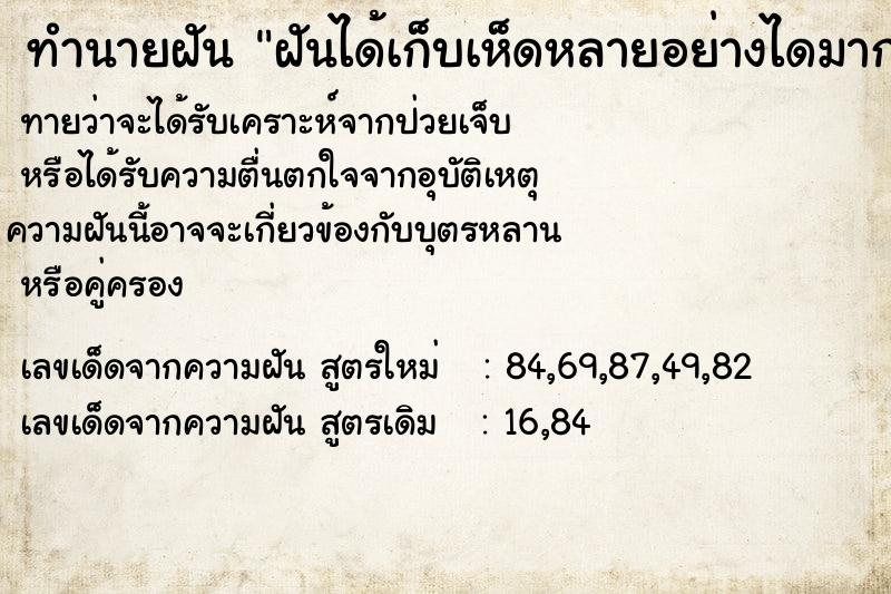 ทำนายฝันฝันได้เก็บเห็ดหลายอย่างไดมากมาย ทำนายฝันทำนายฝันฝันได้เก็บเห็ดหลายอย่างไดมากมาย