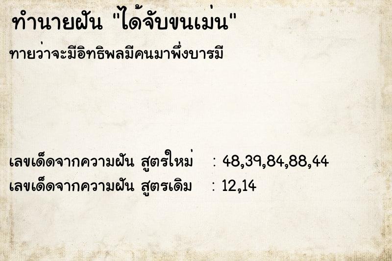 ทำนายฝันทำนายฝันได้จับขนเม่น