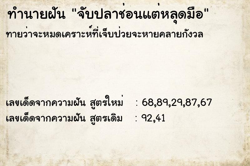 ทำนายฝันจับปลาช่อนแต่หลุดมือ ทำนายฝันทำนายฝันจับปลาช่อนแต่หลุดมือ