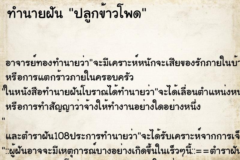 ทำนายฝัน ปลูกข้าวโพด