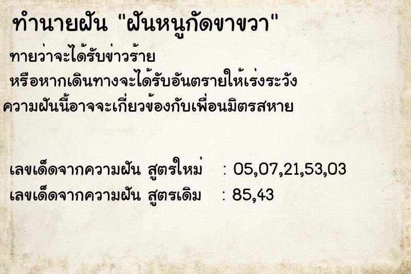 ทำนายฝันทำนายฝันฝันหนูกัดขาขวา