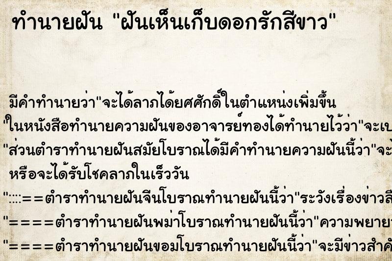 ทำนายฝันฝันเห็นเก็บดอกรักสีขาว ทำนายฝันทำนายฝันฝันเห็นเก็บดอกรักสีขาว