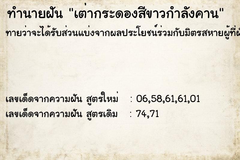 ทำนายฝันเต่ากระดองสีขาวกำลังคาน ทำนายฝันทำนายฝันเต่ากระดองสีขาวกำลังคาน