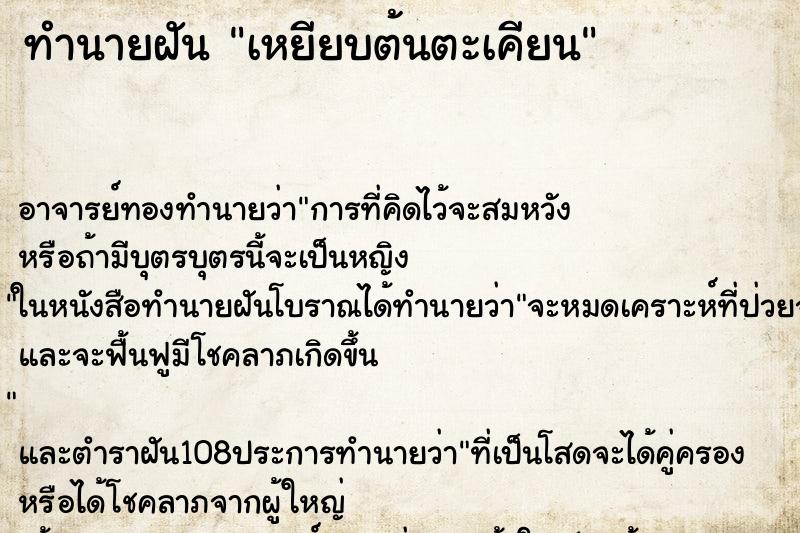 ทำนายฝันเหยียบต้นตะเคียน ทำนายฝันทำนายฝันเหยียบต้นตะเคียน