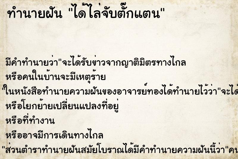 ทำนายฝัน ได้ไล่จับตั๊กแตน ทำนายฝัน ได้ไล่จับตั๊กแตน