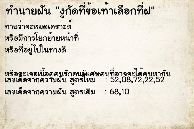 ทำนายฝันงูกัดที่ข้อเท้าเลือกที่ฝ ทำนายฝันทำนายฝันงูกัดที่ข้อเท้าเลือกที่ฝ