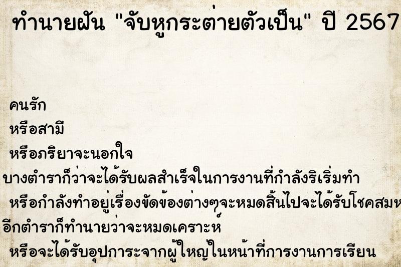 ทำนายฝันทำนายฝันจับหูกระต่ายตัวเป็น