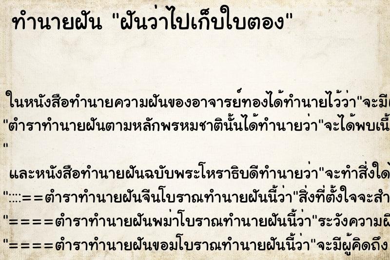 ทำนายฝัน ฝันว่าไปเก็บใบตอง ทำนายฝัน ฝันว่าไปเก็บใบตอง