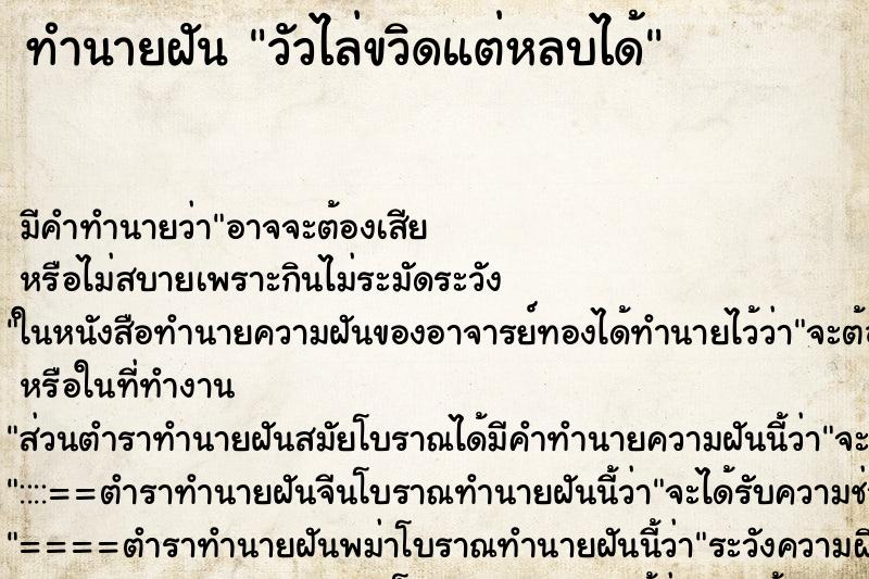 ทำนายฝัน วัวไล่ขวิดแต่หลบได้ ทำนายฝัน วัวไล่ขวิดแต่หลบได้