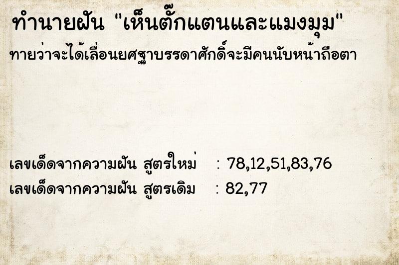 ทำนายฝันเห็นตั๊กแตนและแมงมุม ทำนายฝันทำนายฝันเห็นตั๊กแตนและแมงมุม