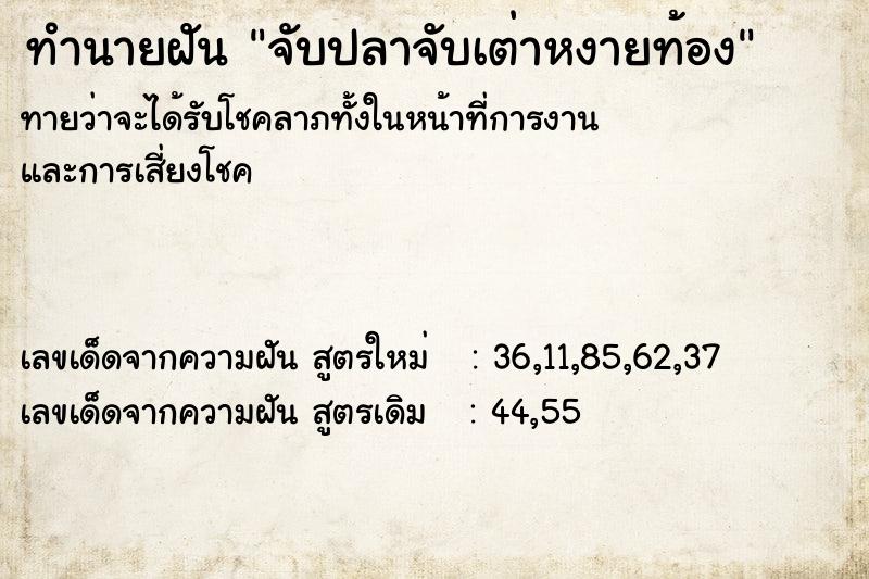 ทำนายฝันจับปลาจับเต่าหงายท้อง ทำนายฝันทำนายฝันจับปลาจับเต่าหงายท้อง