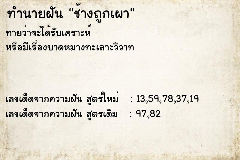 ทำนายฝันช้างถูกเผา ทำนายฝันทำนายฝันช้างถูกเผา