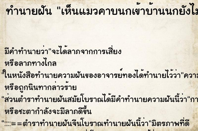 ทำนายฝัน เห็นแมวคาบนกเข้าบ้านนกยังไม่ตาย ทำนายฝัน เห็นแมวคาบนกเข้าบ้านนกยังไม่ตาย