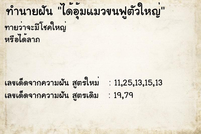 ทำนายฝันทำนายฝันได้อุ้มแมวขนฟูตัวใหญ่