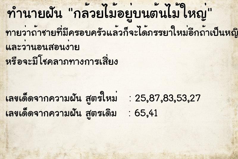 ทำนายฝันกล้วยไม้อยู่บนต้นไม้ใหญ่ ทำนายฝันทำนายฝันกล้วยไม้อยู่บนต้นไม้ใหญ่