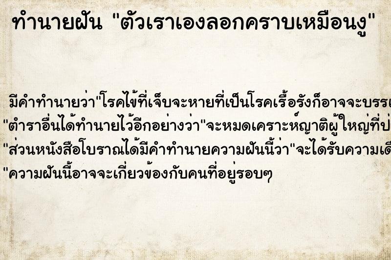 ทำนายฝัน ตัวเราเองลอกคราบเหมือนงู ทำนายฝัน ตัวเราเองลอกคราบเหมือนงู