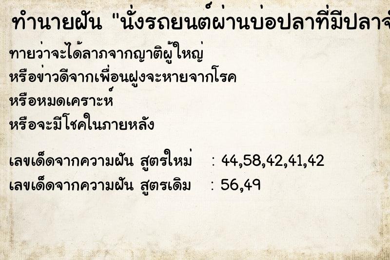 ทำนายฝันนั่งรถยนต์ผ่านบ่อปลาที่มีปลาจำนวนมาก ทำนายฝันทำนายฝันนั่งรถยนต์ผ่านบ่อปลาที่มีปลาจำนวนมาก