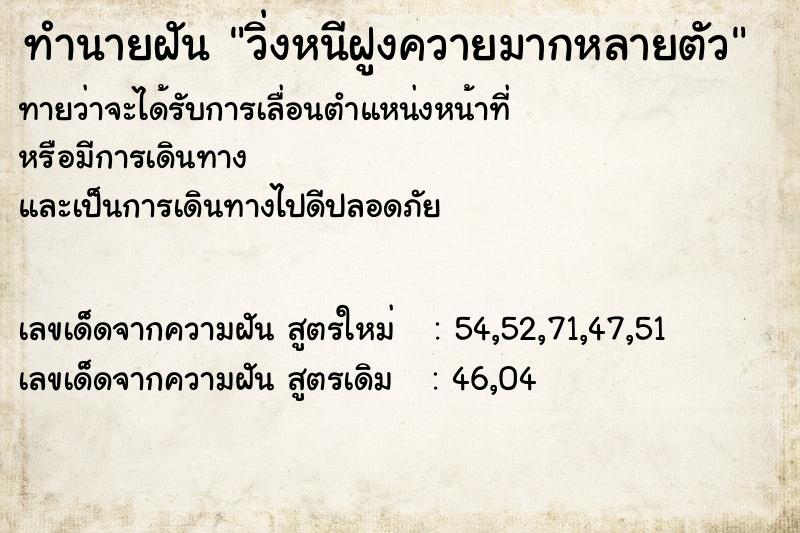 ทำนายฝันทำนายฝันวิ่งหนีฝูงควายมากหลายตัว