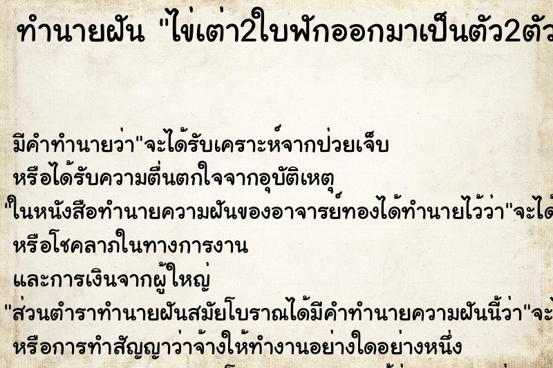 ทำนายฝัน ไข่เต่า2ใบฟักออกมาเป็นตัว2ตัว ทำนายฝัน ไข่เต่า2ใบฟักออกมาเป็นตัว2ตัว