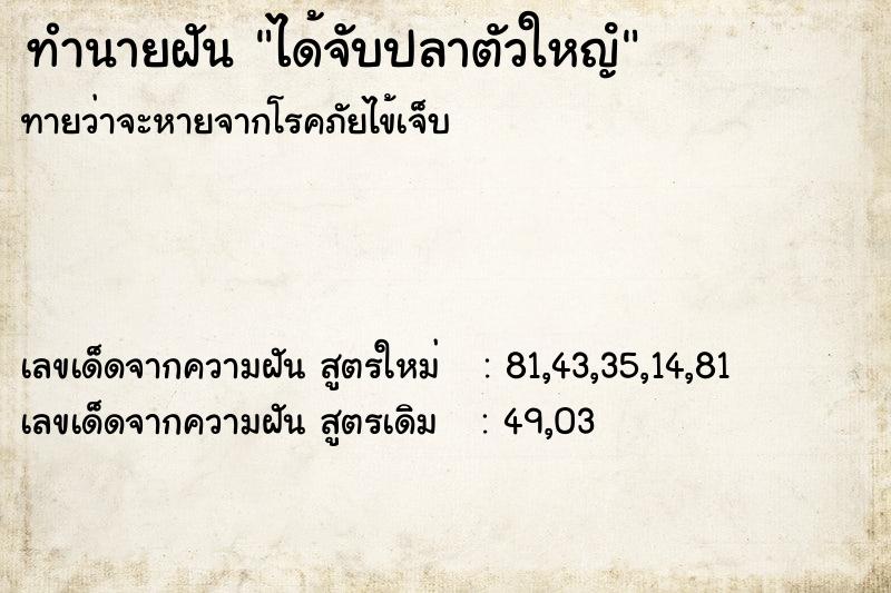 ทำนายฝันทำนายฝันได้จับปลาตัวใหญํ