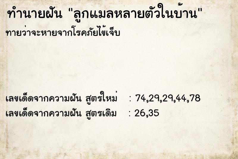 ทำนายฝันทำนายฝันลูกแมลหลายตัวในบ้าน