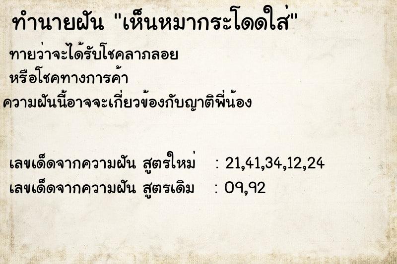 ทำนายฝันเห็นหมากระโดดใส่ ทำนายฝันทำนายฝันเห็นหมากระโดดใส่