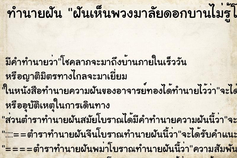 ทำนายฝัน ฝันเห็นพวงมาลัยดอกบานไม่รู้โรย ทำนายฝัน ฝันเห็นพวงมาลัยดอกบานไม่รู้โรย