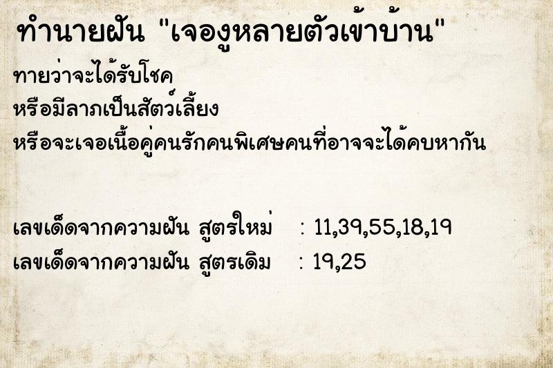 ทำนายฝันทำนายฝันเจองูหลายตัวเข้าบ้าน