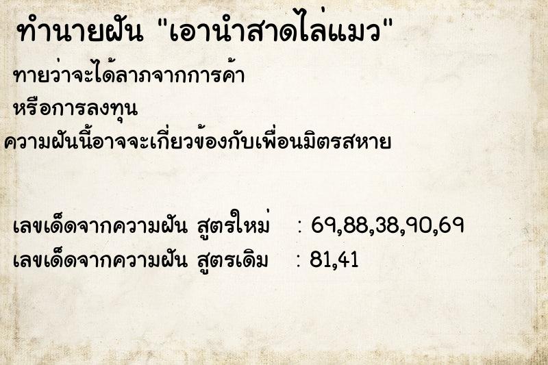 ทำนายฝันเอานำสาดไล่แมว ทำนายฝันทำนายฝันเอานำสาดไล่แมว