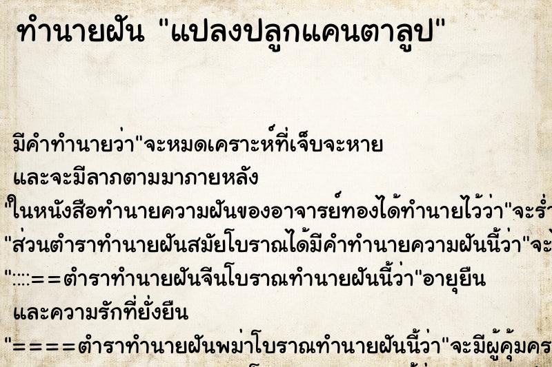 ทำนายฝันแปลงปลูกแคนตาลูป ทำนายฝันทำนายฝันแปลงปลูกแคนตาลูป