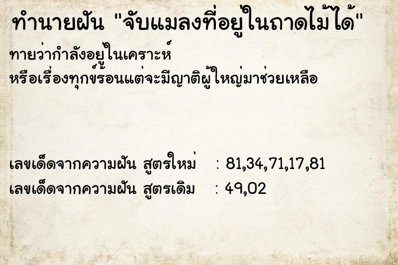 ทำนายฝันทำนายฝันจับแมลงที่อยู่ในถาดไม้ได้