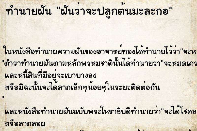 ทำนายฝันฝันว่าจะปลูกต้นมะละกอ ทำนายฝันทำนายฝันฝันว่าจะปลูกต้นมะละกอ