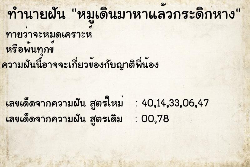ทำนายฝันทำนายฝันหมูเดินมาหาแล้วกระดิกหาง