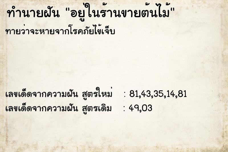 ทำนายฝันอยู่ในร้านขายต้นไม้ ทำนายฝันทำนายฝันอยู่ในร้านขายต้นไม้