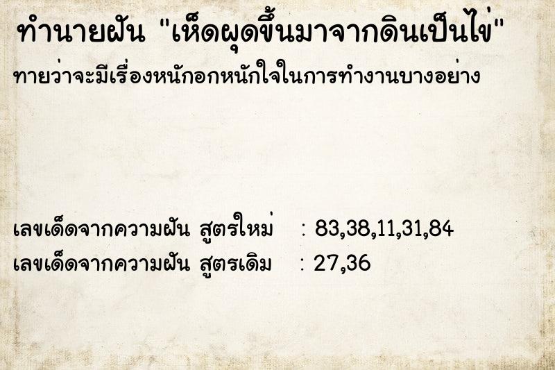 ทำนายฝัน เห็ดผุดขึ้นมาจากดินเป็นไข่ ทำนายฝัน เห็ดผุดขึ้นมาจากดินเป็นไข่