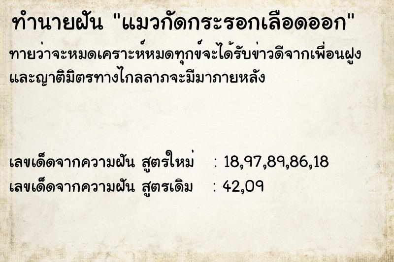ทำนายฝันแมวกัดกระรอกเลือดออก ทำนายฝันทำนายฝันแมวกัดกระรอกเลือดออก