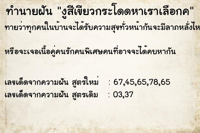 ทำนายฝันงูสีเขียวกระโดดหาเราเลือกค ทำนายฝันทำนายฝันงูสีเขียวกระโดดหาเราเลือกค