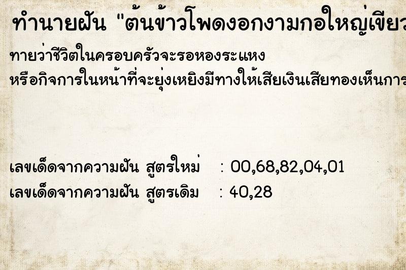 ทำนายฝันทำนายฝันต้นข้าวโพดงอกงามกอใหญ่เขียวขจี