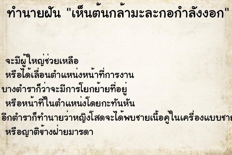 ทำนายฝันทำนายฝันเห็นต้นกล้ามะละกอกำลังงอก